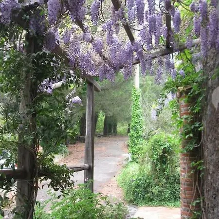 Wine House 1850 Prázdninový dům Puntalazzo